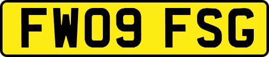 FW09FSG