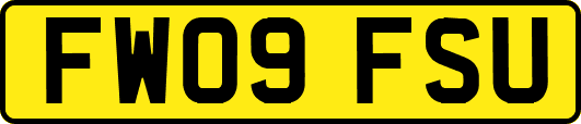 FW09FSU