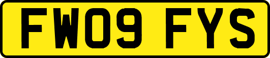 FW09FYS