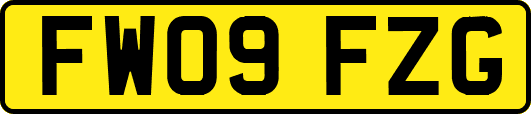 FW09FZG