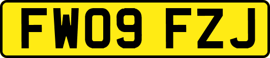 FW09FZJ