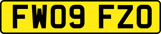 FW09FZO