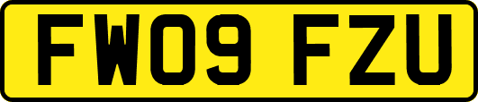 FW09FZU