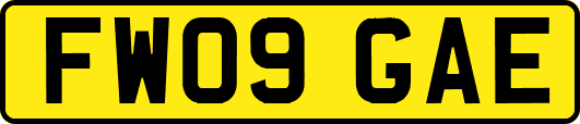 FW09GAE