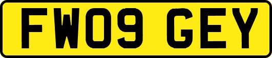 FW09GEY