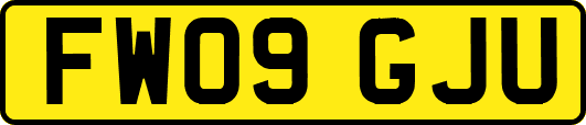 FW09GJU