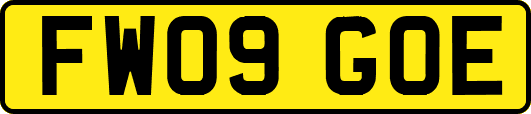 FW09GOE