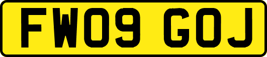 FW09GOJ