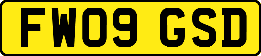 FW09GSD