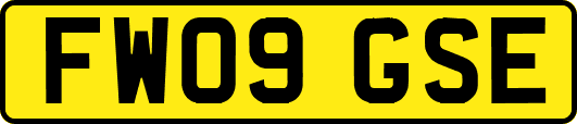 FW09GSE