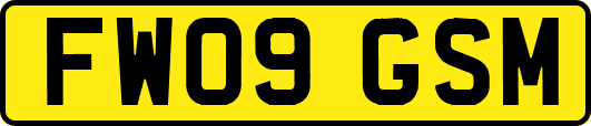 FW09GSM