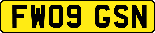 FW09GSN