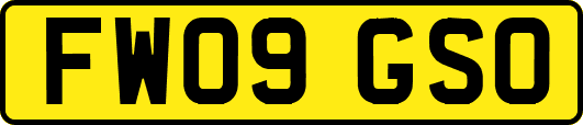 FW09GSO
