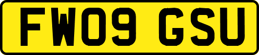 FW09GSU