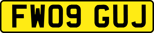 FW09GUJ