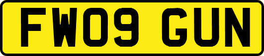 FW09GUN