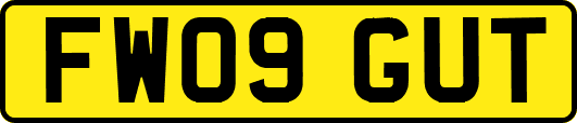 FW09GUT