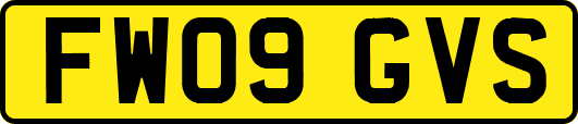 FW09GVS