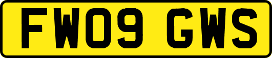 FW09GWS