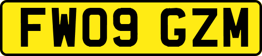 FW09GZM