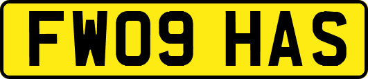 FW09HAS