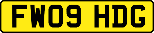 FW09HDG