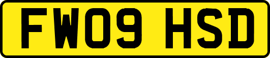 FW09HSD