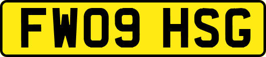 FW09HSG