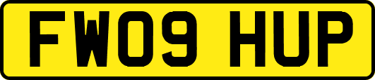 FW09HUP