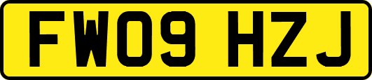FW09HZJ