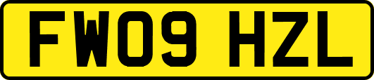 FW09HZL