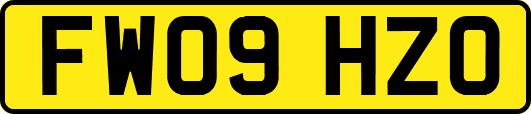 FW09HZO