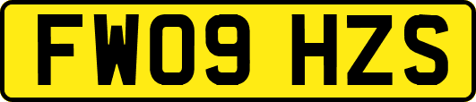 FW09HZS