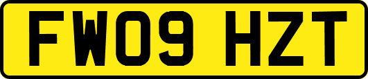 FW09HZT