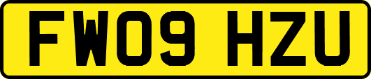 FW09HZU