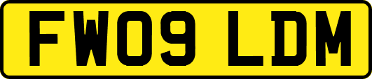 FW09LDM