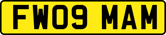 FW09MAM