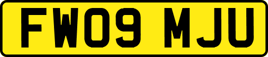 FW09MJU
