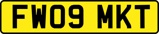 FW09MKT