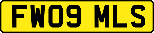 FW09MLS