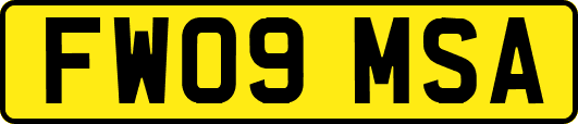 FW09MSA