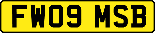 FW09MSB