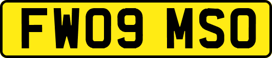 FW09MSO