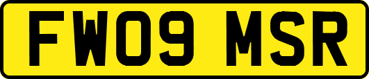 FW09MSR