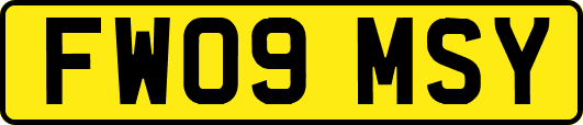 FW09MSY