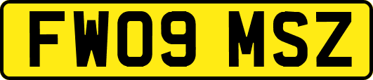 FW09MSZ