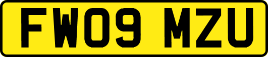 FW09MZU