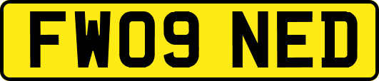 FW09NED