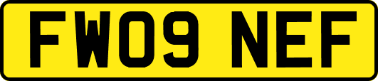 FW09NEF