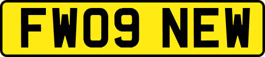 FW09NEW